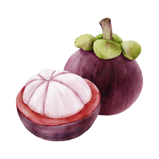 Grapefruit Mangosteen