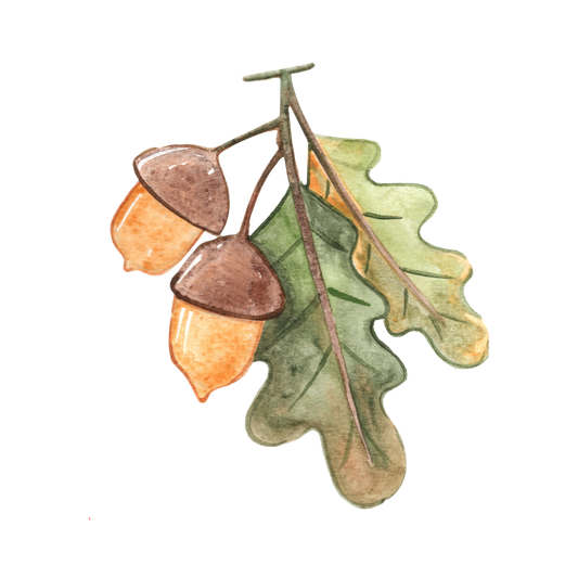 Maple Leaf and Acorn