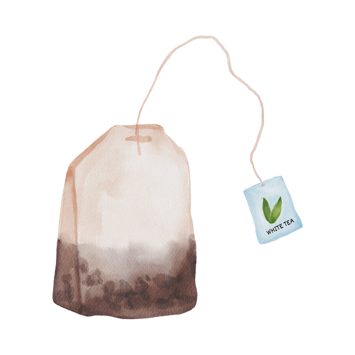 White Tea