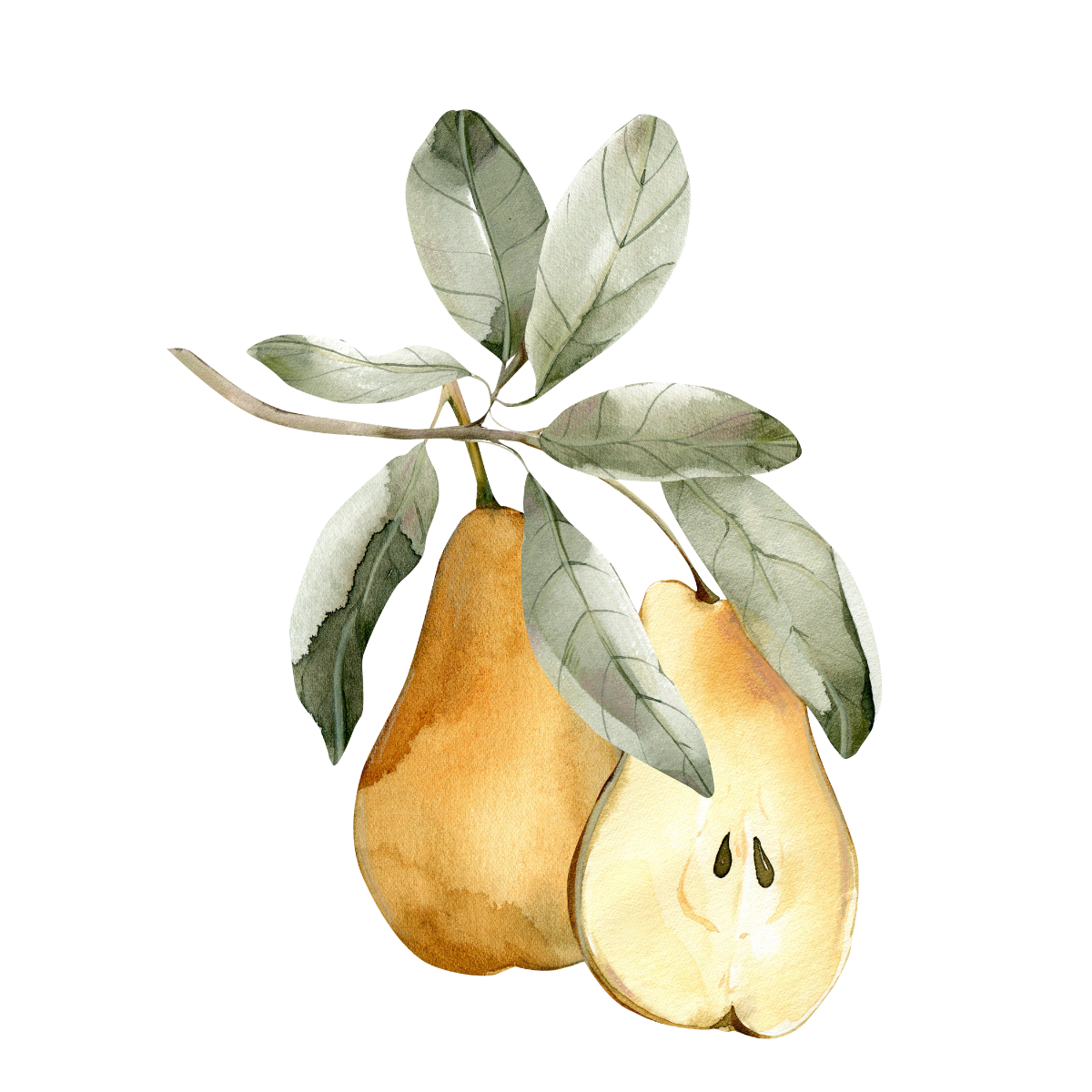 Pear Mascarpone