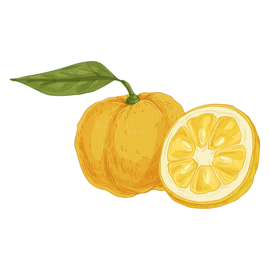 Yuzu