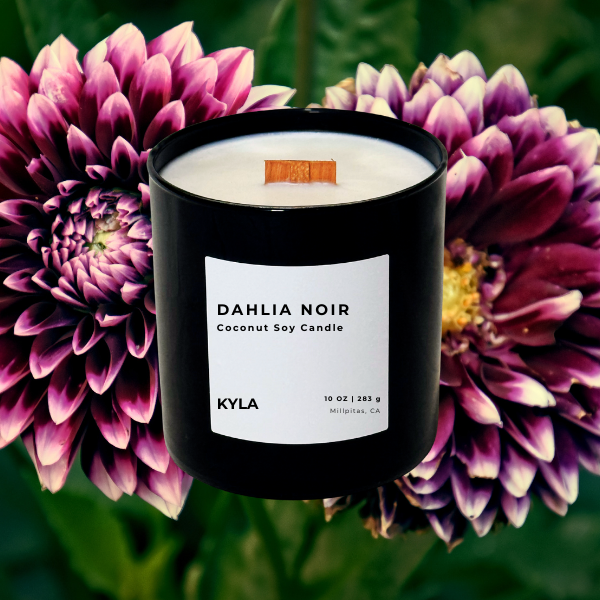 Dahlia Noir
