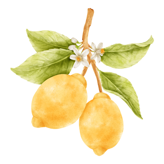 Yuzu Blossom
