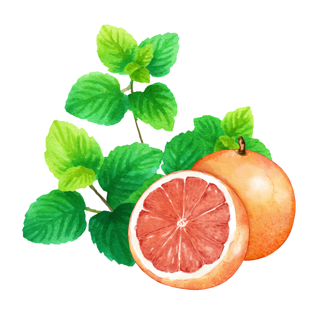 Grapefruit Mint