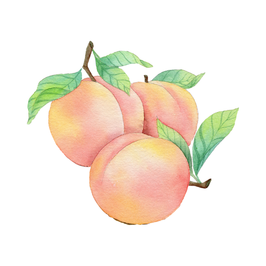 Georgia Peach