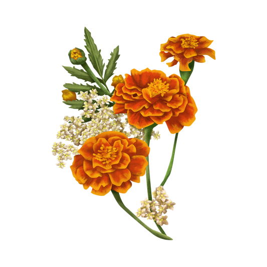 Marigolds