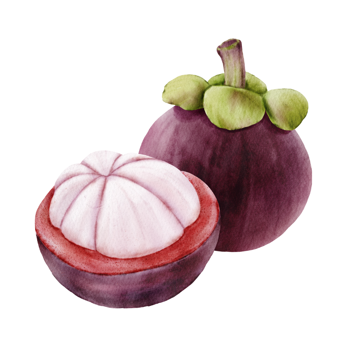 Grapefruit Mangosteen