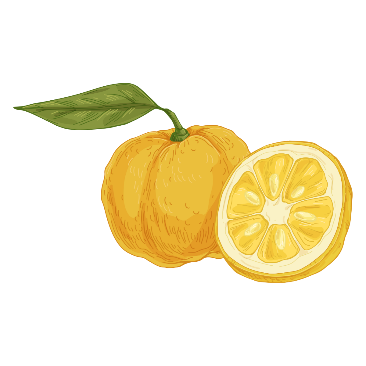 Yuzu