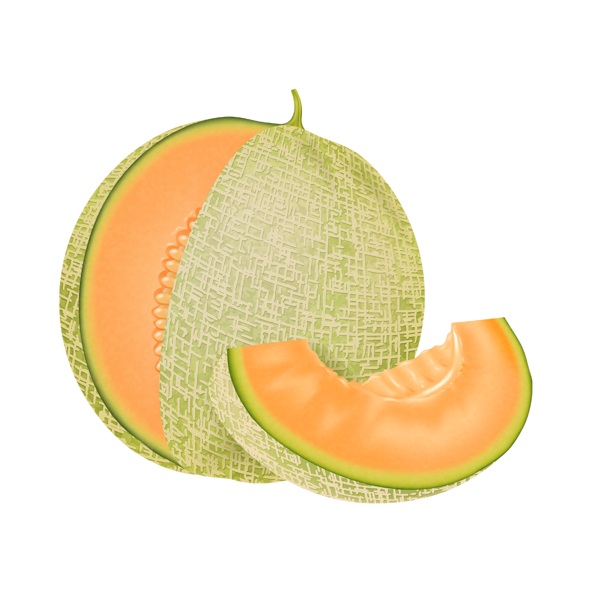 Honeydew Melon