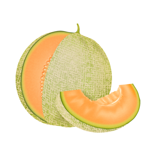 Honeydew Melon