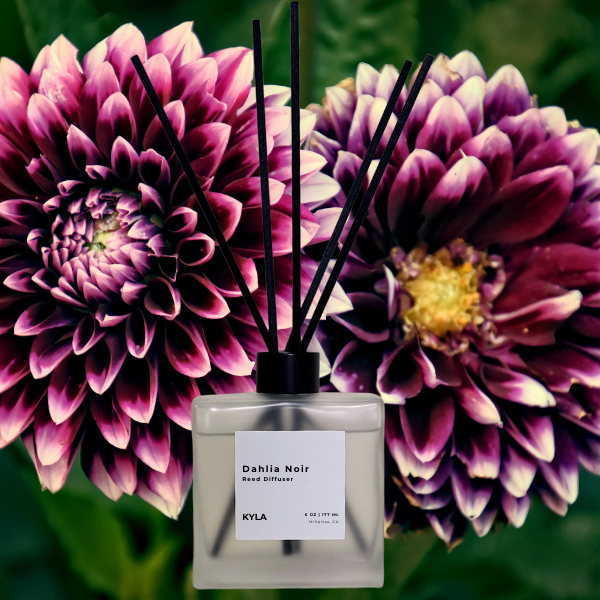 Dahlia Noir