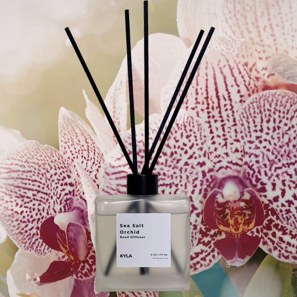 Sea Salt Orchid