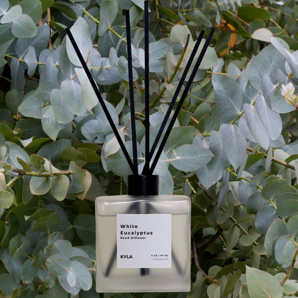 White Eucalyptus