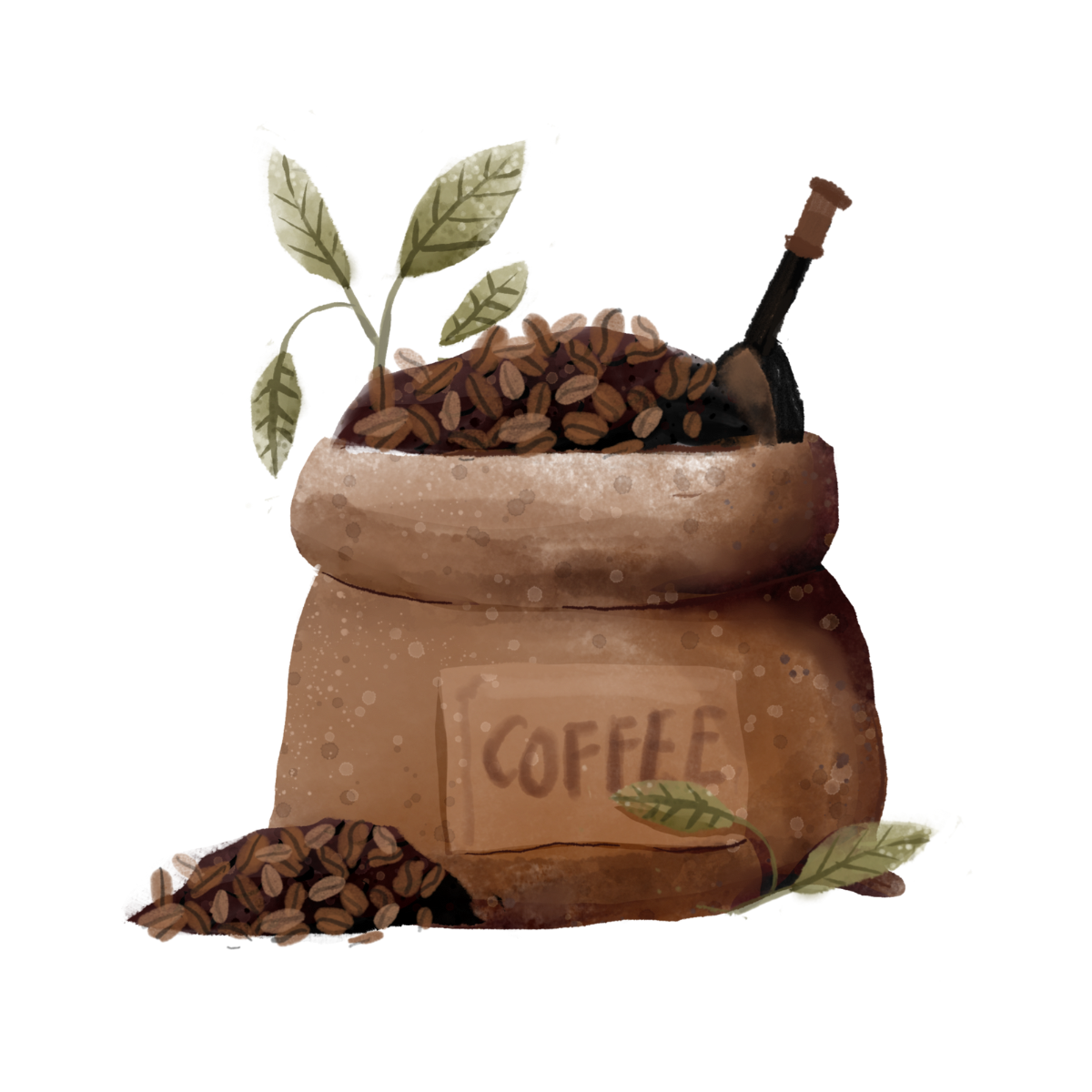 Fresh Coffee