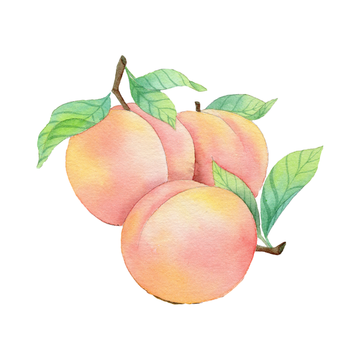 Georgia Peach